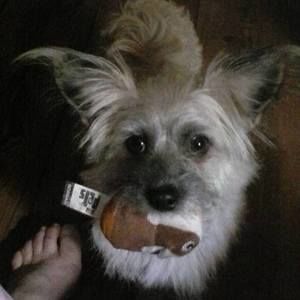 Meet your Posher, Jenny